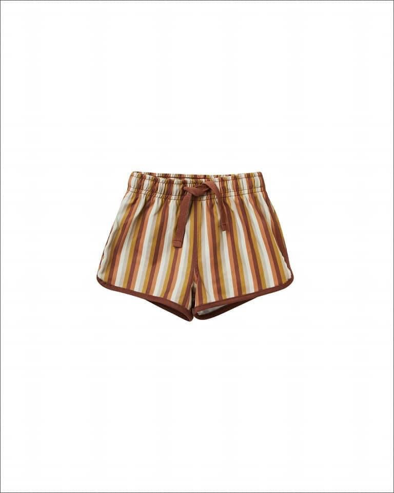 Multi stripe swim trunks